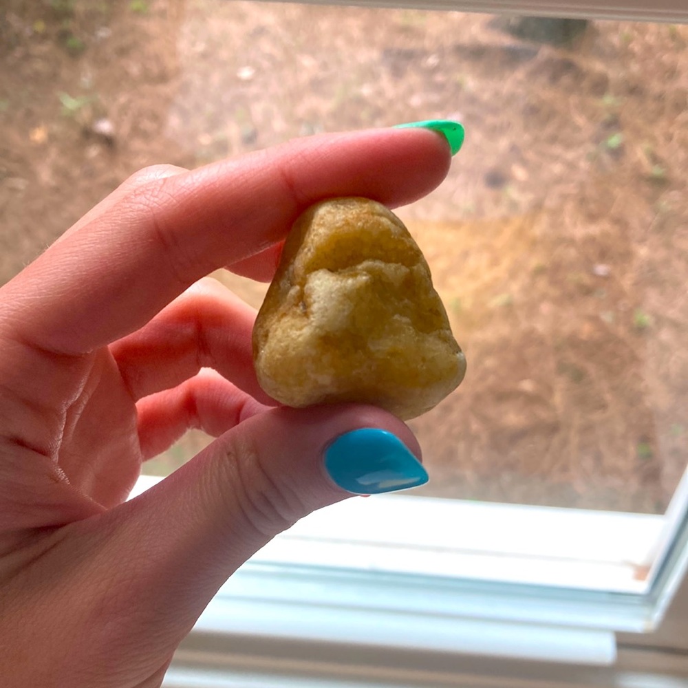 Billy The Rock Pet